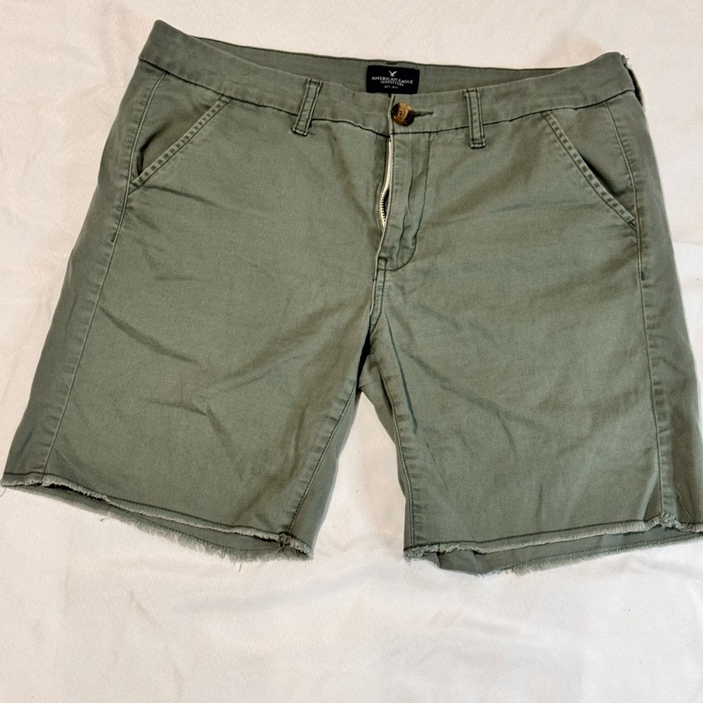 American Eagle Outfitters Green Flat Front Shorts